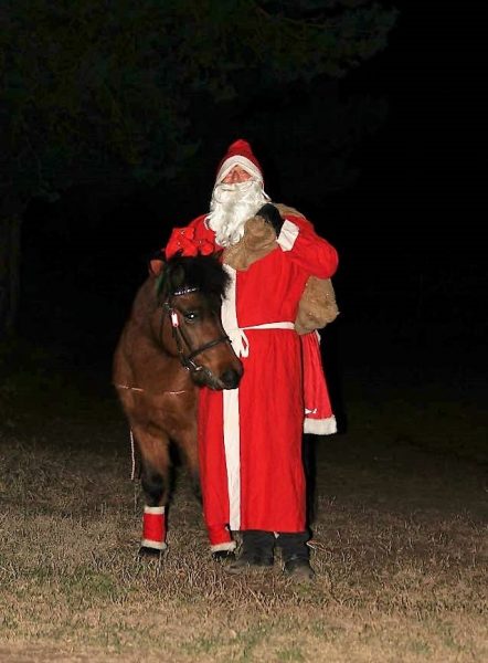 Ein Weihnachtsmann mit Pony vor einem Wald